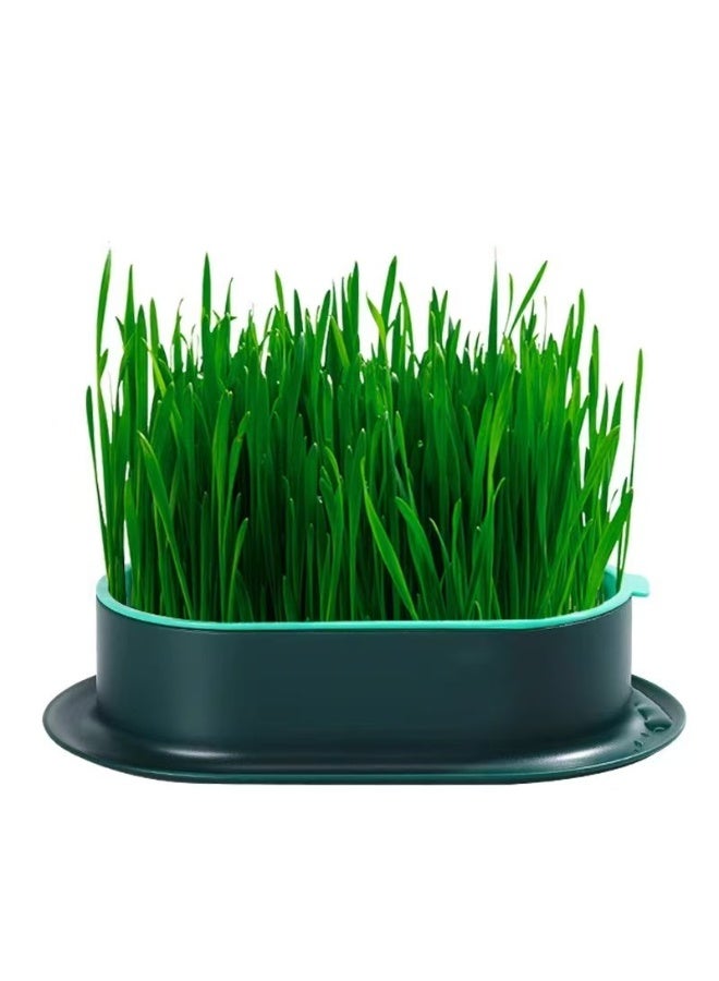 وعاء زراعة عشب مائي للقطط (بدون بذور)، وعاء بلاستيكي للحيوانات الأليفة - Image 4
