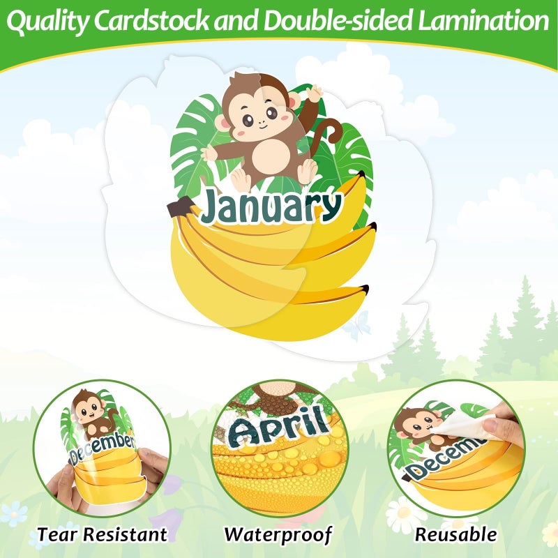 Lonfliness Jungle Theme Monkey Birthday Bulletin Board Set Classroom Happy Birthday Chart Cutouts Safari Decorations for Calendars Bulletin Boards Wall Preschool Decor Back to School Teacher Supplies - Image 4