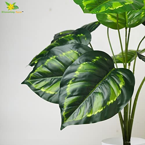 Blooming Floret Philodendron Plant - Image 2