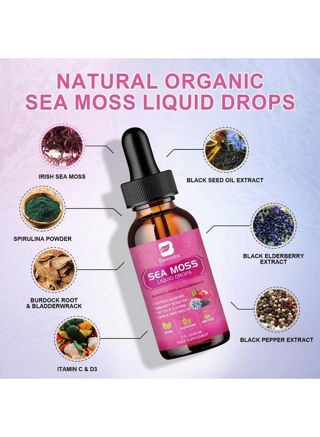 B BEWORTHS Sea Moss Liquid Drops - Organic Black Seed Oil Irish Sea Moss Gel with Burdock Root, Bladderwrack, Elderberry, Vitamin C, D3, 6X Stronger Seamoss Gel for Digestive, Hair Health - Vegan - Image 2