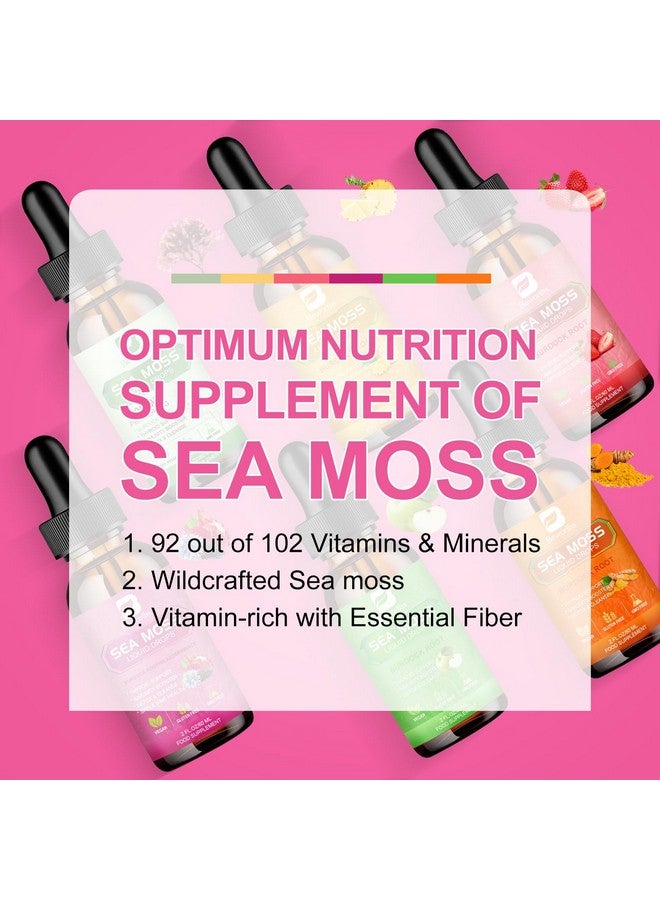 B BEWORTHS Sea Moss Liquid Drops - Organic Black Seed Oil Irish Sea Moss Gel with Burdock Root, Bladderwrack, Elderberry, Vitamin C, D3, 6X Stronger Seamoss Gel for Digestive, Hair Health - Vegan - Image 5