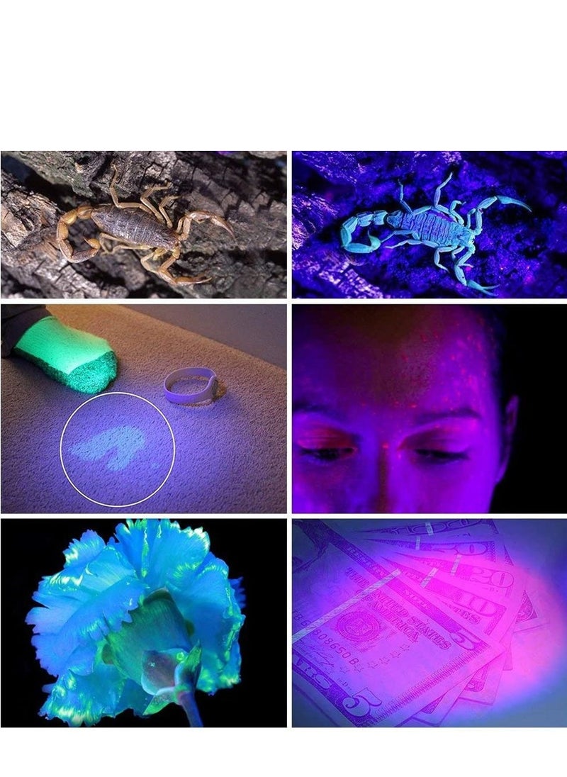 Generic - UV Flashlight Black Light, Vansky 51 LED Ultraviolet Blacklight Pet Stain Detector for Dog/Cat Stains, Dry Stains, Bed Bugs, Matching with Odor Eliminator - Image 1