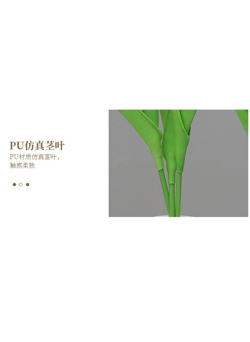 Generic Elegant Tulip Table Lamp - A Touch of Beauty for Every Corner of Your Home T  - Image 4
