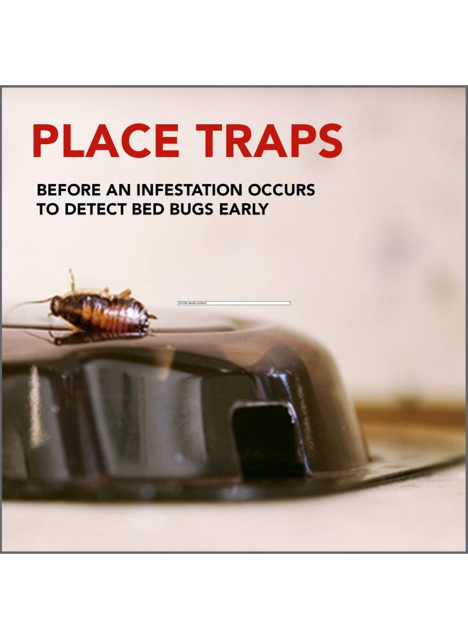 RAID Raid Bed Bug Detector and Trap, For Indoor Use, 4 Count - Image 3