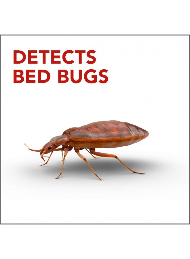 RAID Raid Bed Bug Detector and Trap, For Indoor Use, 4 Count - Image 2