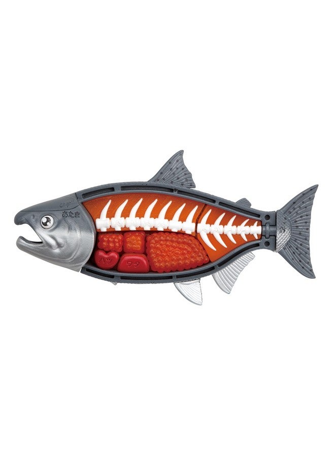 Megahouse - King Salmon, Kaitai Puzzle - Image 3