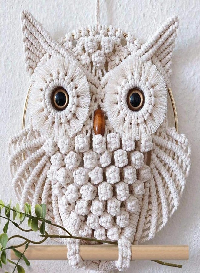 TBACW Owl Wall Hanging Tapestry - Hand Woven Boho Wall Art for Living Room, Bedroom, Home Decor (White Owl) - Image 4