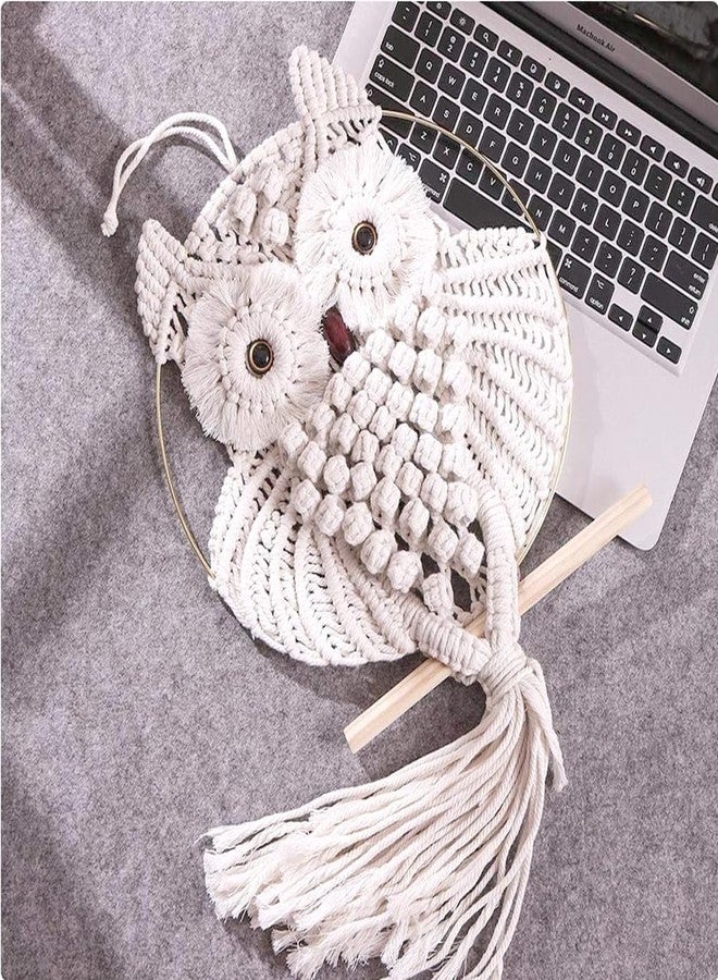 TBACW Owl Wall Hanging Tapestry - Hand Woven Boho Wall Art for Living Room, Bedroom, Home Decor (White Owl) - Image 3