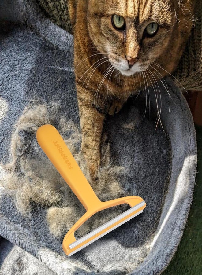 Fursprint Pro Pet Hair Removal Tool – Dog & Cat Hair Scraper for Carpet, Couch, and Car – Reusable Carpet Hair Removal Tool & Fur Scraper for Upholstery, Rugs, Furniture, and Car Interiors - Image 1