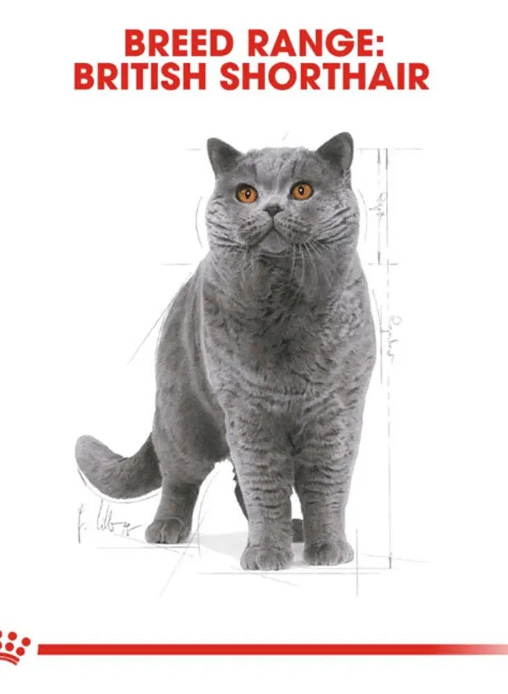 ROYAL CANIN Feline Breed Nutrition British Shorthair Adult Dry Cat Food 4kg - Image 3