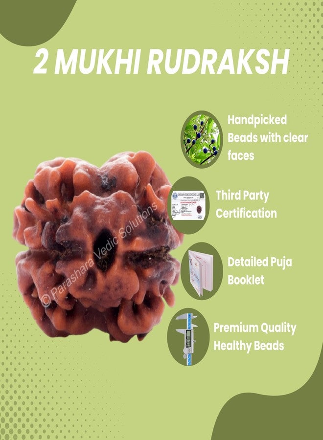 ARKAM Two Mukhi Oval Rudraksha Certified/Original 2 Mukhi Rudraksh/Natural 2 faced Rudraksha (Brown) with Certificate and Puja Instructions - Image 4
