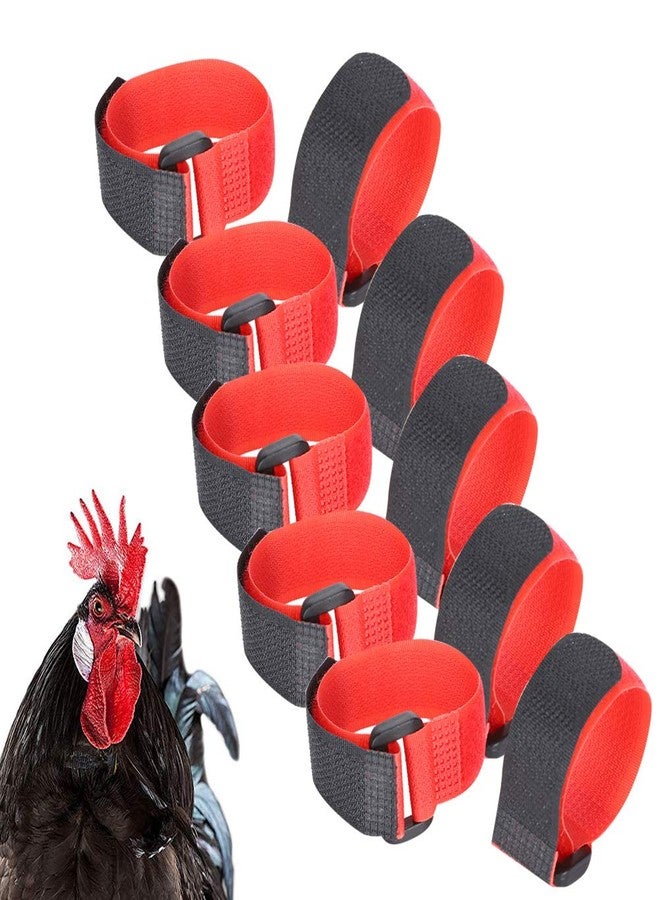 Shanrya Rooster Noise Neck Strap, Chicken Supply Nylon Collar Anti‑Hook Rooster Collar 5 Bag Pet Chicken Supply Noise Neck for Larger‑sized Pet Chickens for Pet - Image 1