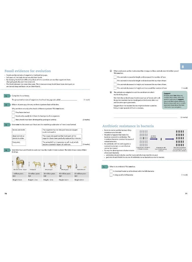 AQA GCSE 9-1 Biology for Combined Science Foundation Support Workbook - Image 1
