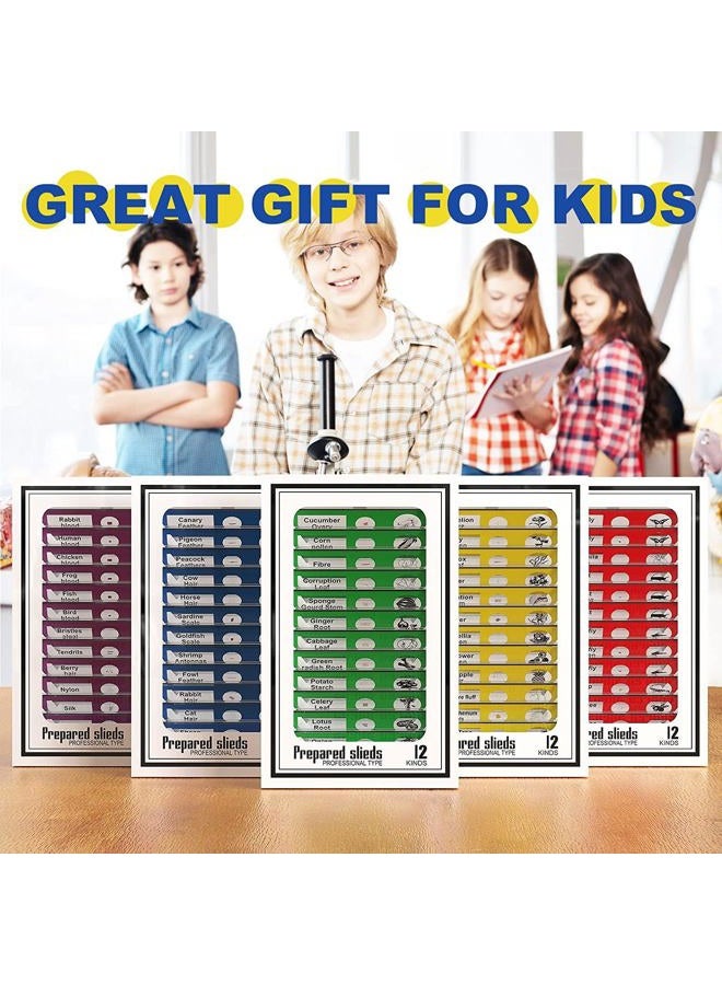 Jiusion 60Pcs Prepared Microscope Slides Specimen Animals Insects Plants Flowers Sample Biological Specimen, Stereo Microscope Slide for Kids Children Students Enlighten Education - Image 3
