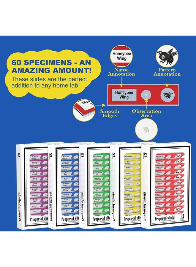 Jiusion 60Pcs Prepared Microscope Slides Specimen Animals Insects Plants Flowers Sample Biological Specimen, Stereo Microscope Slide for Kids Children Students Enlighten Education - Image 5
