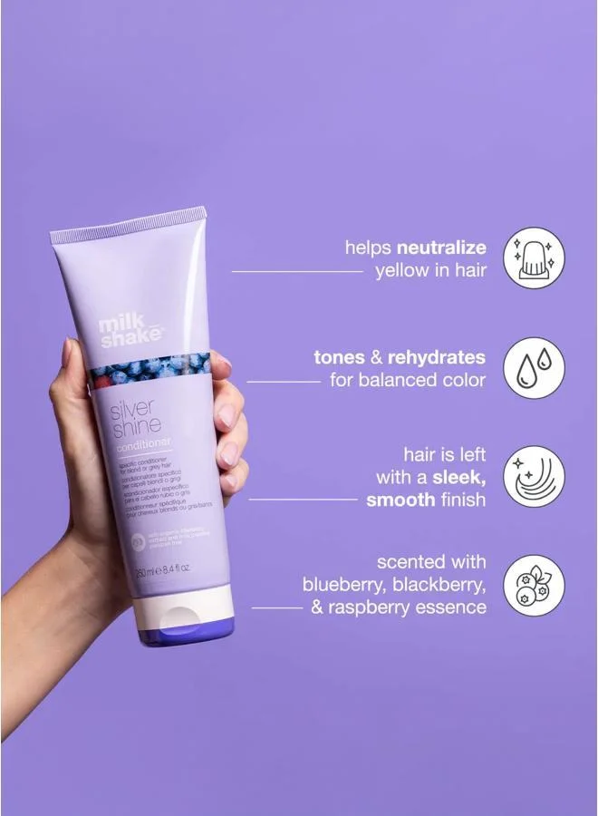 Milk Shake  milk_shake silver shine conditioner 250ml for Women | Best Price UAE