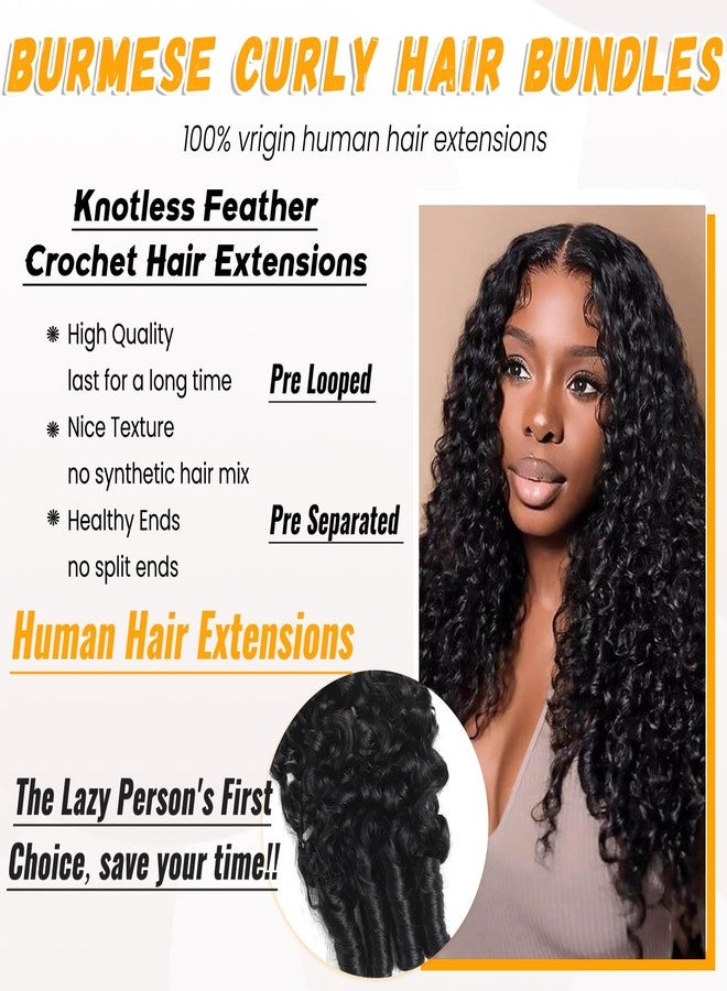 Valiilo Crochet Hair Extensions Real Human Hair Pre Separated Curly Crochet Human Hair for Black Women 14 Inch 100G 2 Bundles Burmese Curly Pre Looped Human Hair Crochet - Image 5