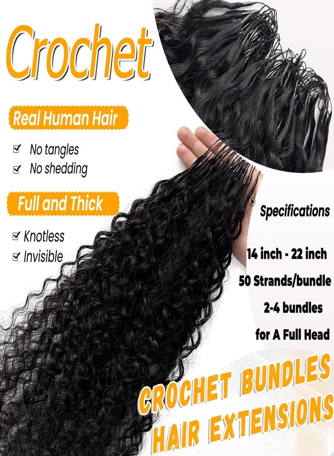 Valiilo Crochet Hair Extensions Real Human Hair Pre Separated Curly Crochet Human Hair for Black Women 14 Inch 100G 2 Bundles Burmese Curly Pre Looped Human Hair Crochet - Image 4