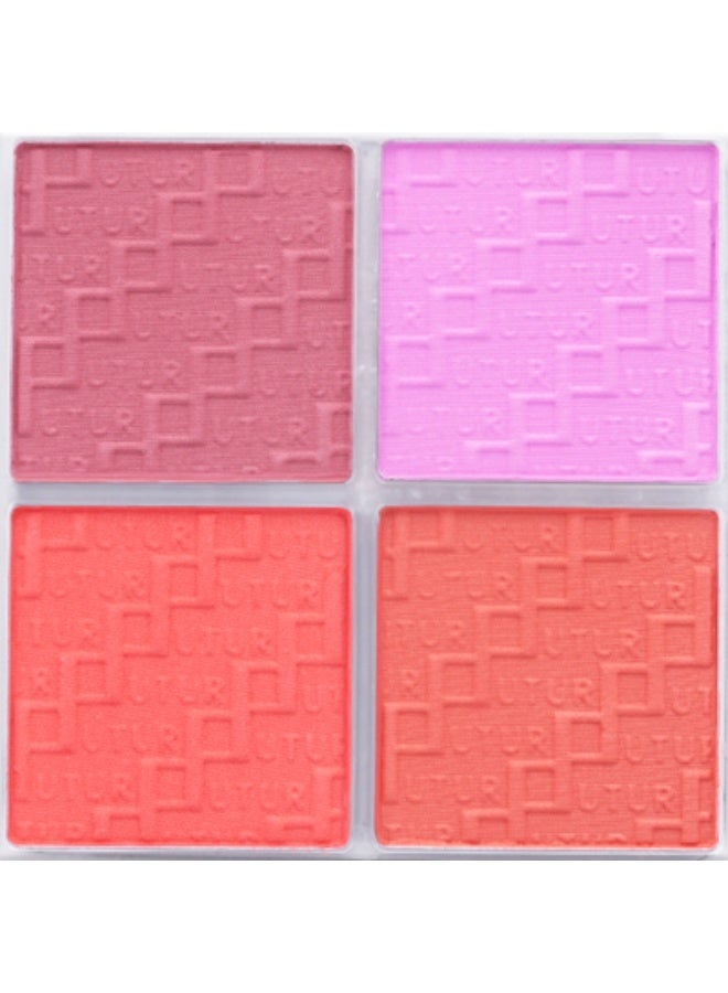 Future Makeup 4 Color Blush - Image 4