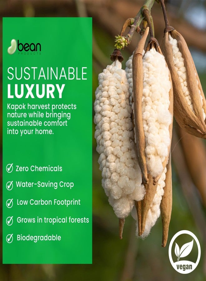 Bean Products Premium Kapok Fill | 2.5 lbs | 100% Organic Kapok Fiber | Chemical Free and Hypoallergenic | Perfect for Pillows, Pet Beds, Couches & More | Made in USA - Image 4