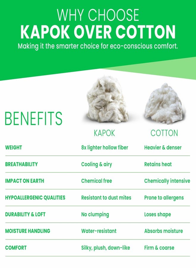 Bean Products Premium Kapok Fill | 2.5 lbs | 100% Organic Kapok Fiber | Chemical Free and Hypoallergenic | Perfect for Pillows, Pet Beds, Couches & More | Made in USA - Image 5