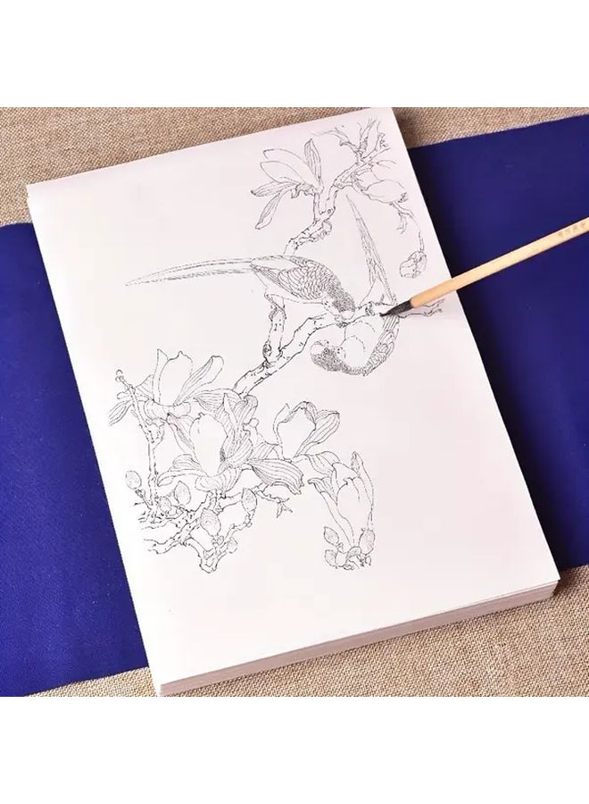 Large Format Mica Rice Paper For Bird Sketching With 97 Bird Photos - Image 3