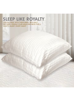 Hotel Linen Klub Hotel Linen Klub Anti Microbial Box Quilted Pillow 1pc - Outer Cover : 160TC 100% Cotton with Antimicrobial Treatment  Filling:  700 grams Soft Fiber  Size: 50 x 75 cm  - Image 3