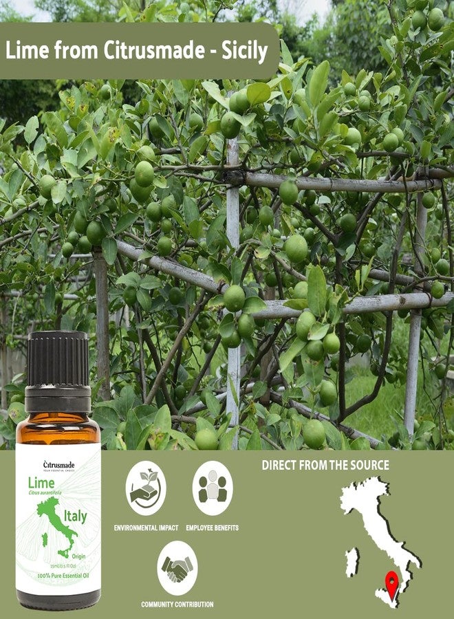 Nature Packaged Lime Essential Oil - Direct from Citrusmade in Sicily- Pure Essential Oils for Diffusers and Aromatherapy in The Mediterranean - 100% Pure Therapeutic Grade (15ml) - Image 4