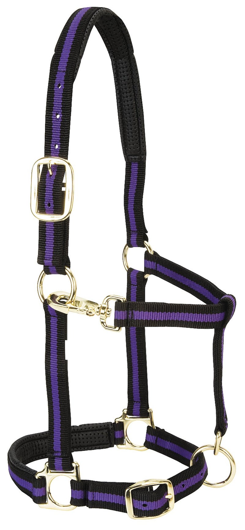 Weaver Equine Weaver Leather Padded Adjustable Nylon Horse Halter, Purple, 1" Small Horse - Image 5