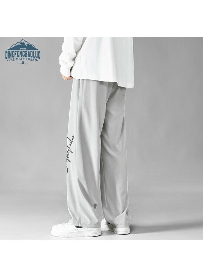 Dingfengbaoluo Men's Casual Loose Straight Leg Comfortable Wide Leg Pants Spring Summer Sports Trousers Ddf04 Light Grey L - Image 3