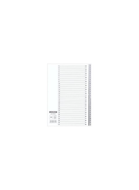 COSMOS PVC INDEX 1-31 GRAY COLOUR TABS WITH NUMBER. 1X10PCS