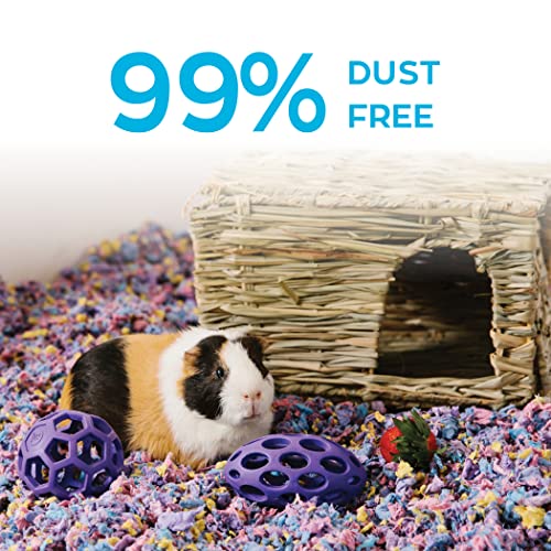 carefresh confetti small pet bedding, 50L (Pack May Vary) (L0410) - Image 4