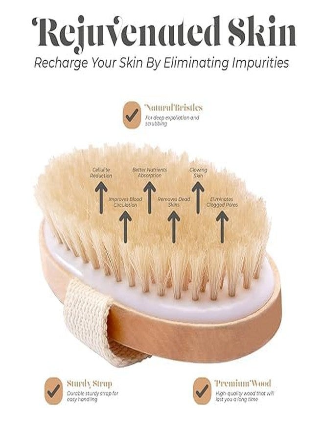 KIMEE Exfoliating Oval Dry Brush - Natural Bristle Body Brush for Lymphatic Drainage, Cellulite Appearance Reduction, Dead Skin Removal & Ingrown Hair Prevention - Wooden Body Brush with Hand Strap - Image 3