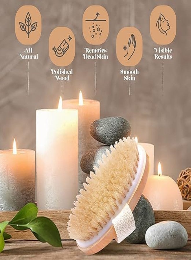 KIMEE Exfoliating Oval Dry Brush - Natural Bristle Body Brush for Lymphatic Drainage, Cellulite Appearance Reduction, Dead Skin Removal & Ingrown Hair Prevention - Wooden Body Brush with Hand Strap - Image 5