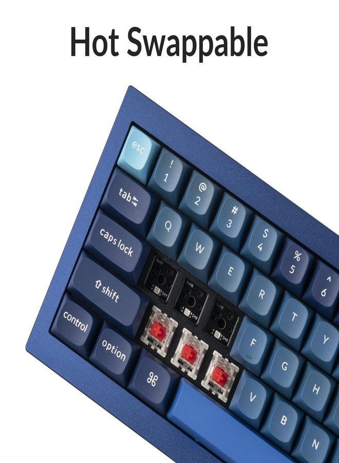 Keychron Q4 Wired Custom Mechanical Keyboard, 60% Layout QMK/VIA Programmable Macro with Hot-swappable Gateron G Pro Red Switch Double Gasket Compatible with Mac Windows Linux (Navy Blue) - Image 4