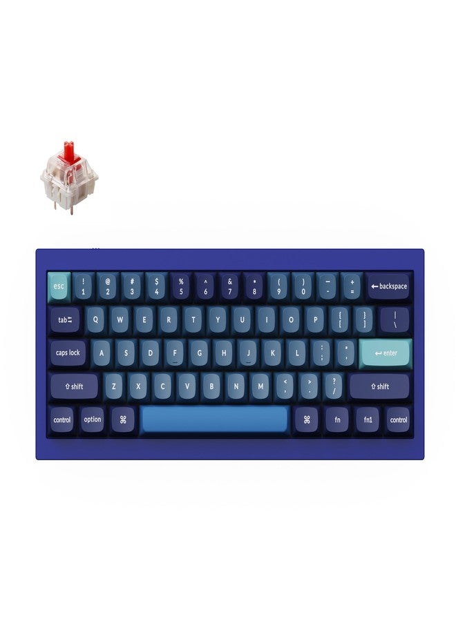 Keychron Q4 Wired Custom Mechanical Keyboard, 60% Layout QMK/VIA Programmable Macro with Hot-swappable Gateron G Pro Red Switch Double Gasket Compatible with Mac Windows Linux (Navy Blue) - Image 1
