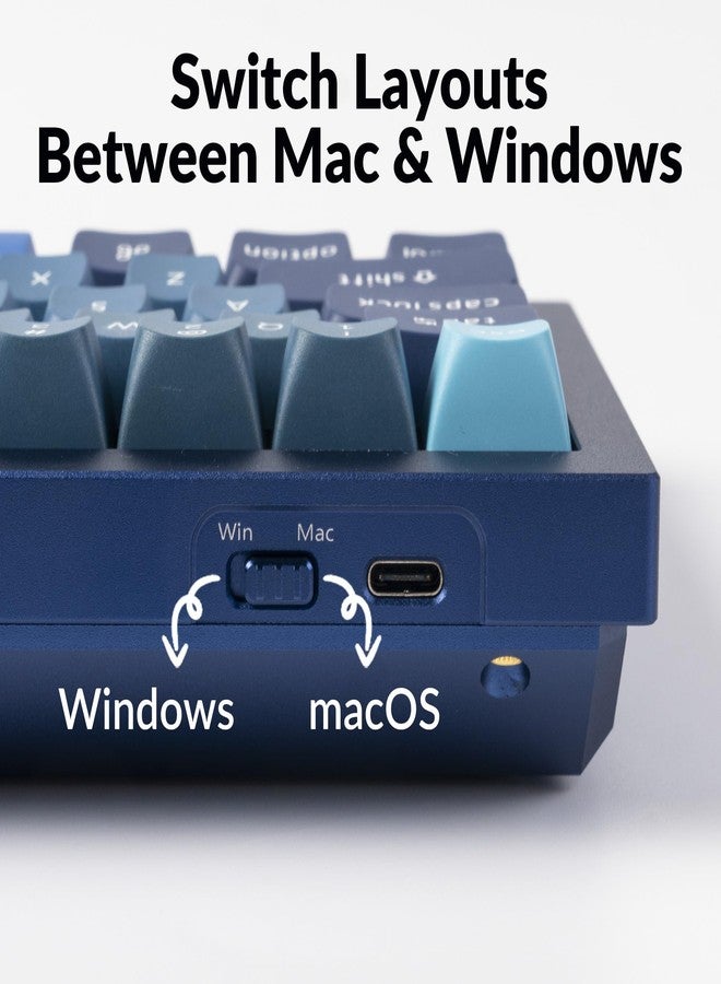 Keychron Q4 Wired Custom Mechanical Keyboard, 60% Layout QMK/VIA Programmable Macro with Hot-swappable Gateron G Pro Red Switch Double Gasket Compatible with Mac Windows Linux (Navy Blue) - Image 5