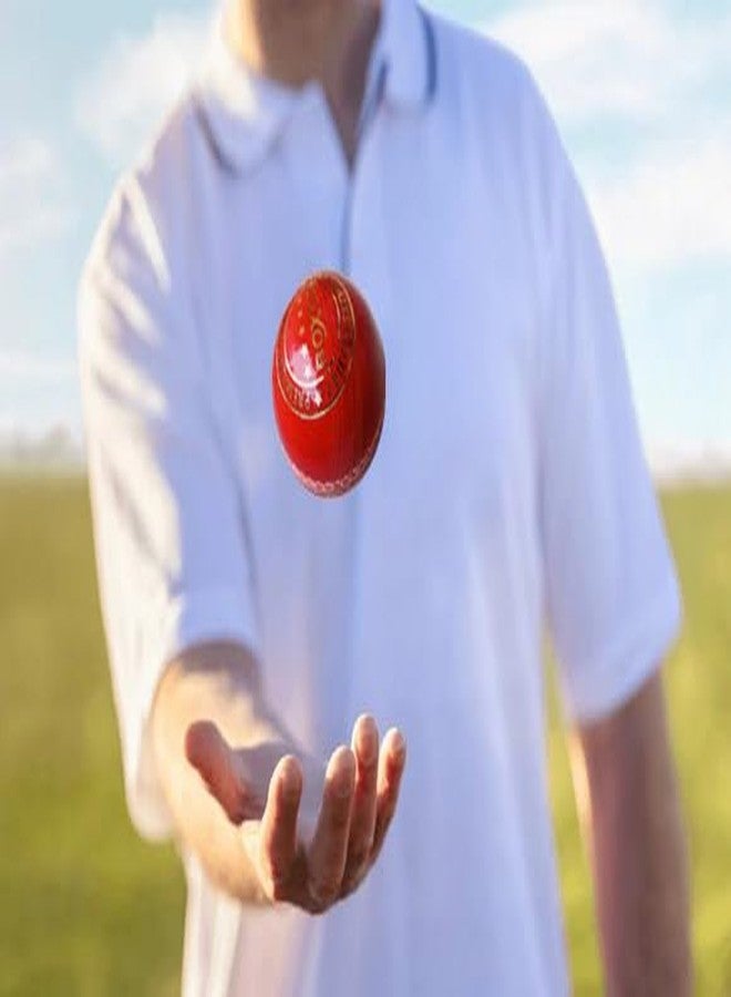 BOXCO Premium Hand Stiched Two Piece Cricket Leather Ball for T20, One Day and Test Matches (Pack of 2) (Premium Red) - Image 4