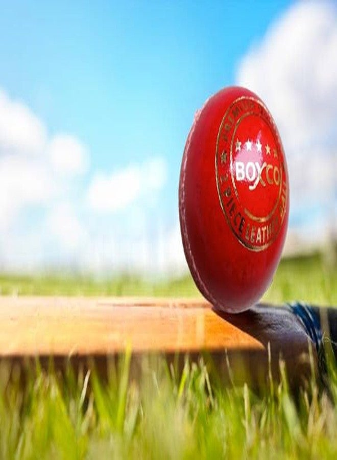 BOXCO Premium Hand Stiched Two Piece Cricket Leather Ball for T20, One Day and Test Matches (Pack of 2) (Premium Red) - Image 3