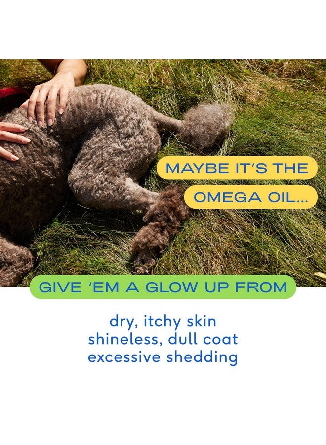 native pet Omega 3 Fish Oil For Dogs  Made With Wild Alaskan Salmon Oil For Dogs With Omega 3 Epa Dha  Supports Itchy Skin + Mobility  Liquid Pump Is Easy To Serve  A Fish Oil Dogs Love! (8 Oz) - Image 3