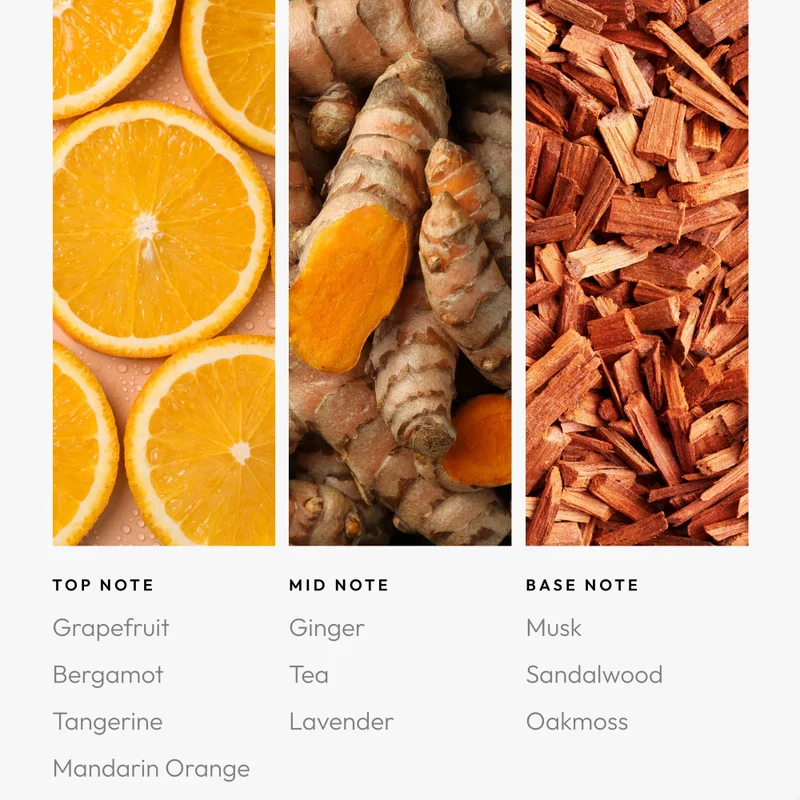 Aroma360  Sunrise Pro-Pod Oil Blend - Hotel Inspired for Luxury Essential Oil Diffusers - Aromatherapy Scent Diffuser Oil - Grapefruit, Tangerine, and Ginger - 50 mL, 1.7 fl oz  | Best Price UAE