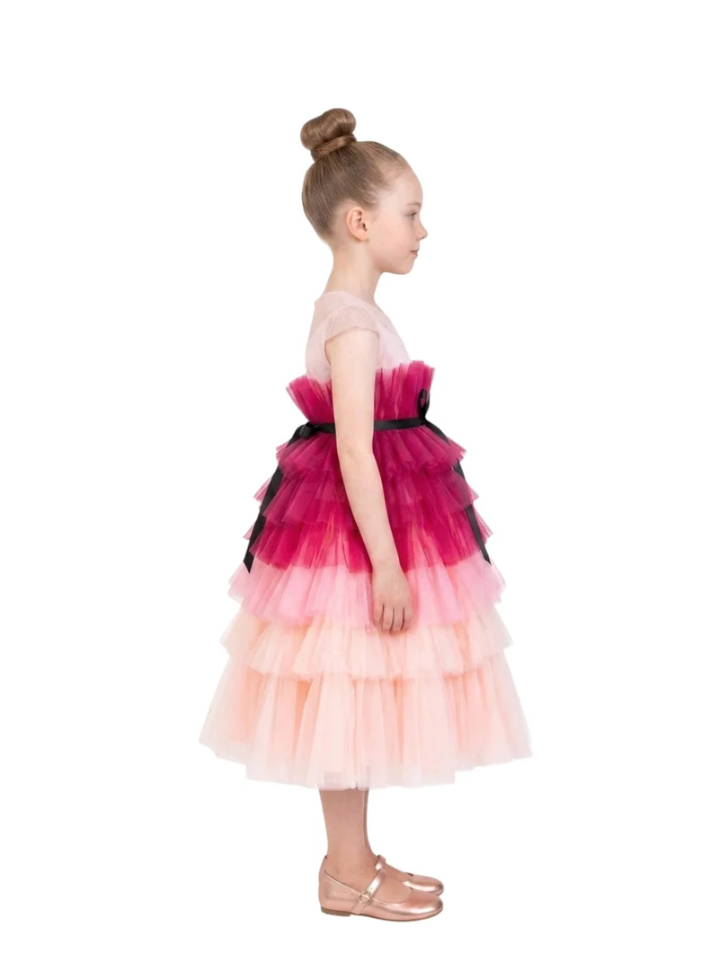 Bidani Sleeveless Tiered Tulle Girls Party Dress -Ombre
