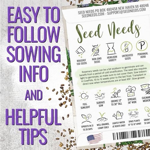 Seed Needs Rosemary Seeds for Planting - Non-GMO Heirloom & Untreated Perennial Herbs to Plant a Medicinal & Culinary Kitchen Garden Indoors or Outdoors (1 Pack) - Image 3