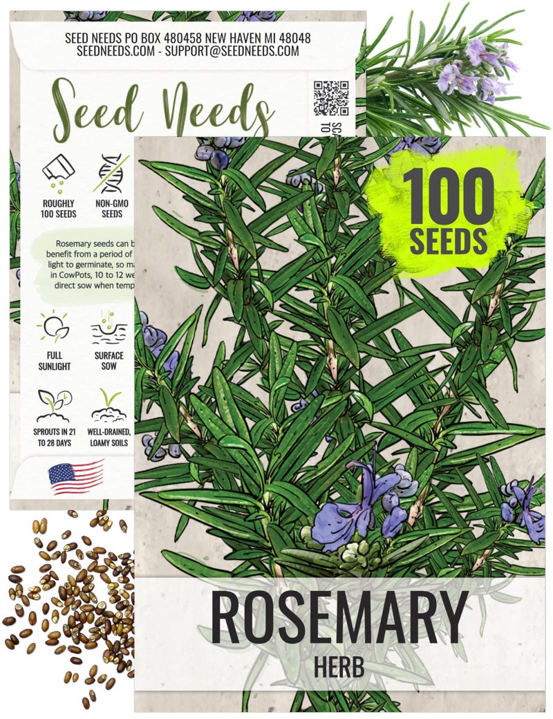 Seed Needs Rosemary Seeds for Planting - Non-GMO Heirloom & Untreated Perennial Herbs to Plant a Medicinal & Culinary Kitchen Garden Indoors or Outdoors (1 Pack) - Image 1