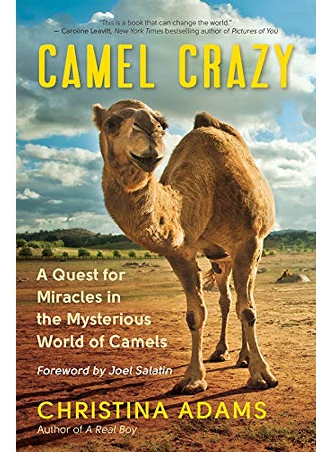 Camel Crazy: A Quest for Healing in the Secret World of Camels