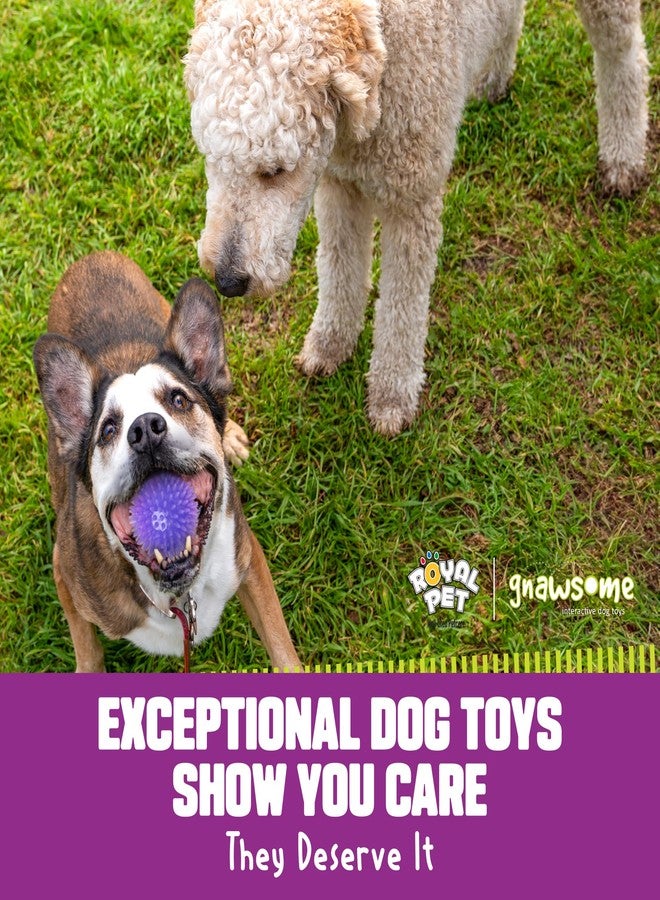 Gnawsome™ 3.5” Spiky Squeak & Light Ball Dog Toy - Medium, Cleans Teeth and Promotes Good Dental and Gum Health for Your Pet, Colors will vary, 3.5" - Image 2