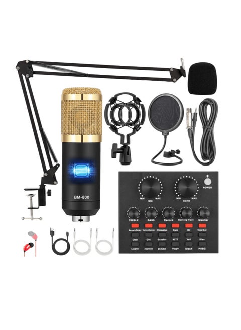 BGM 800G Professional Condenser Microphone with V8 Live Sound Card Recording Studio Equipment Full Set V8 External Audio Mixer with Mic for Singing Live Streaming You tubers and Studio Recording & Broadcasting