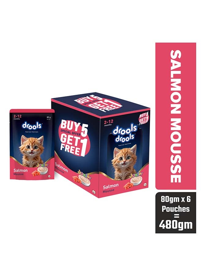 Drools Kitten Salmon Wet Gravy, 6 x 80g (480g) - Image 1
