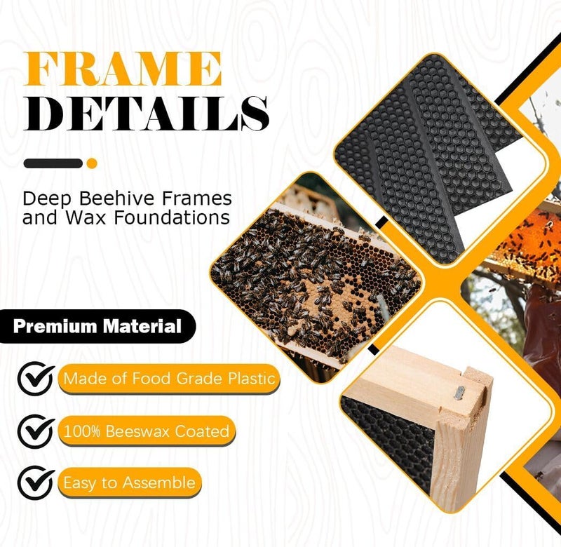 BeeCastle 10 Pack Beehive Frames and Wax Foundations for Deep Brood Bee Hives with Wooden Bee Hive Frames and 100% Beeswax Coated Foundations, 9-1/8-Inch (Black) - Image 2
