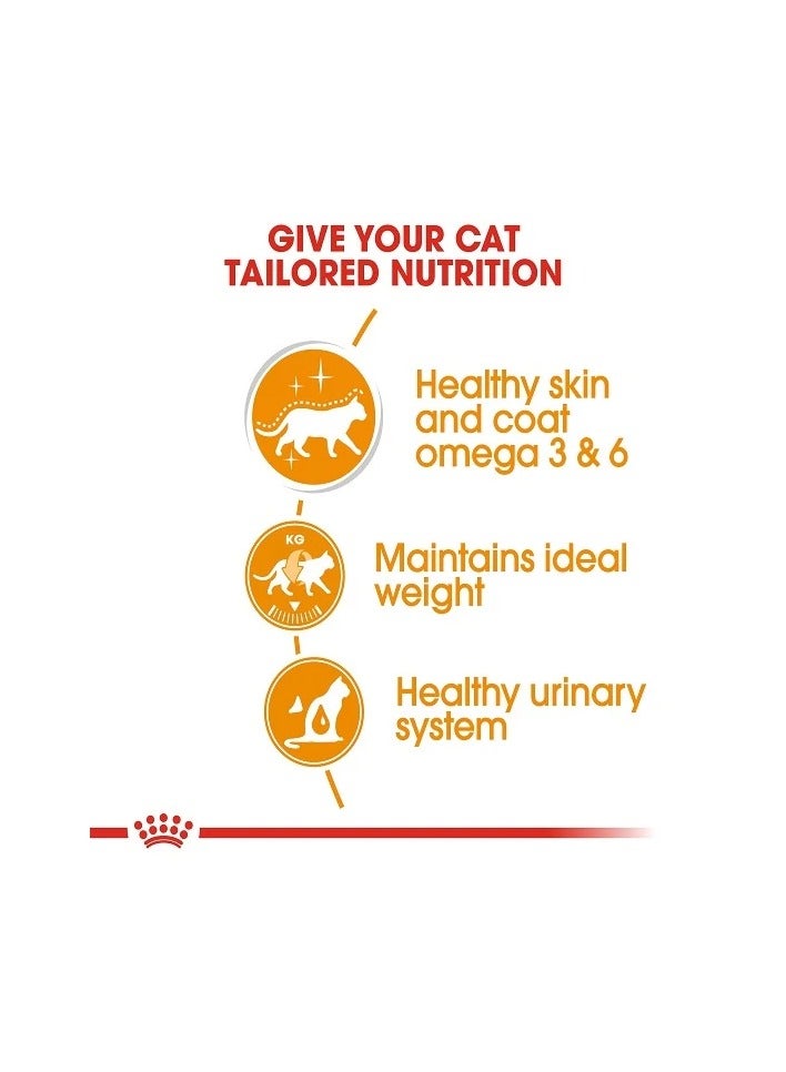 رويال كانين طعام القطط الرطب رويال كانين للعناية بالبشرة والشعر بصلصة الجريف 85 جم - Image 4